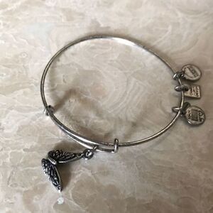 Alex and‎ Ani energy bracelet​​​​​​